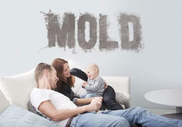 Mold in Home