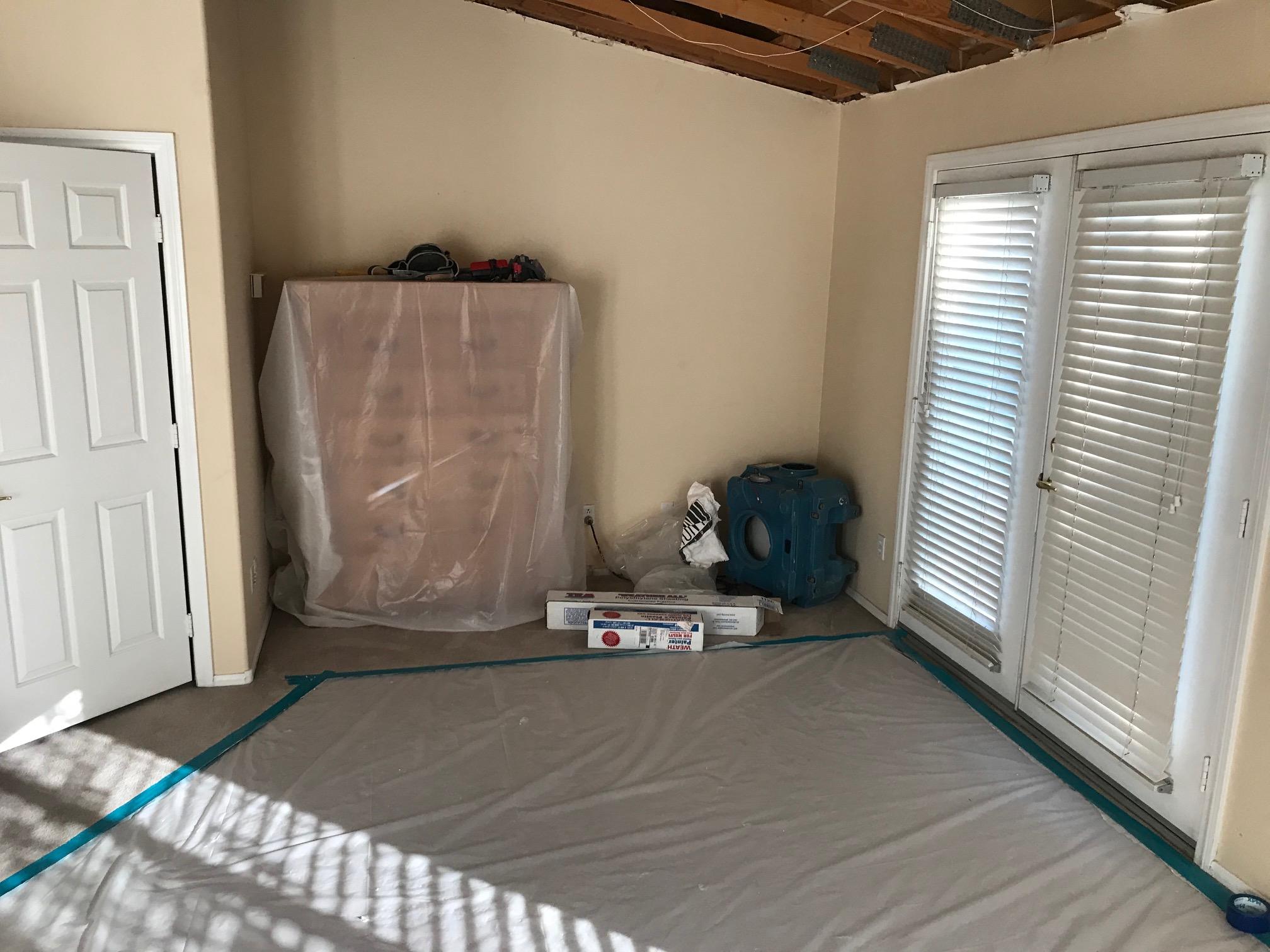 Mold Remediation Services