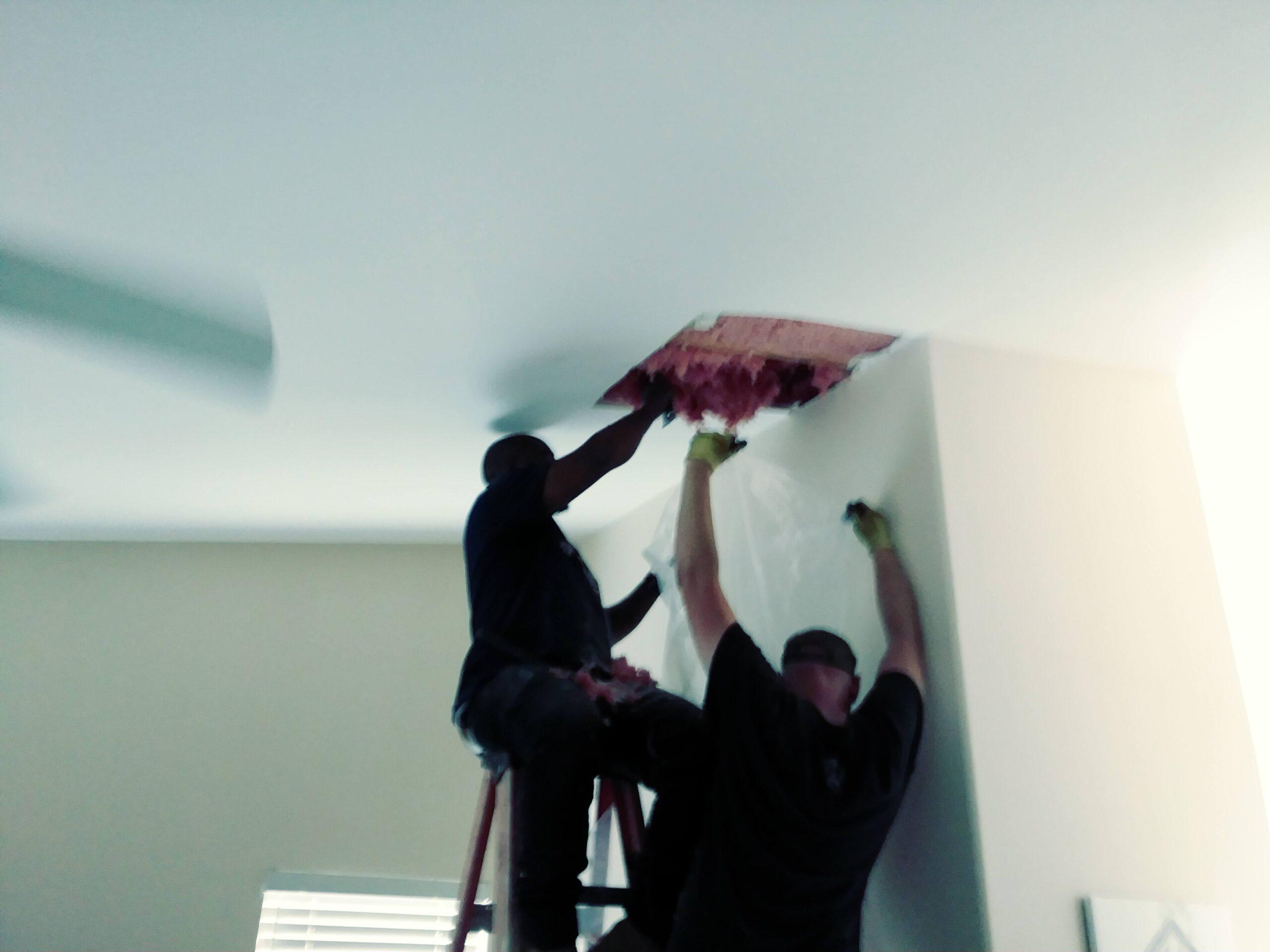 Water Damage Repairing Servicing Summerlin NV
